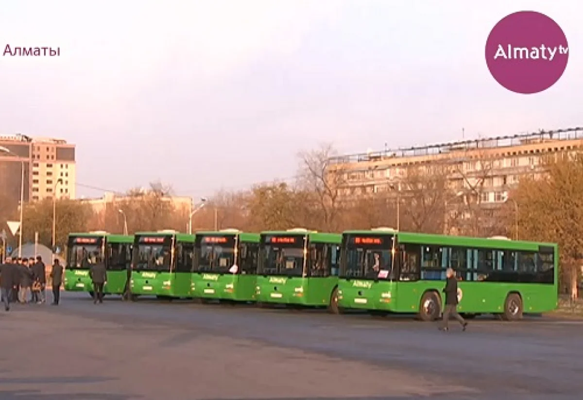 Алматыда жеке компаниялар өз қаражаттарына 254 автобус сатып алмақ