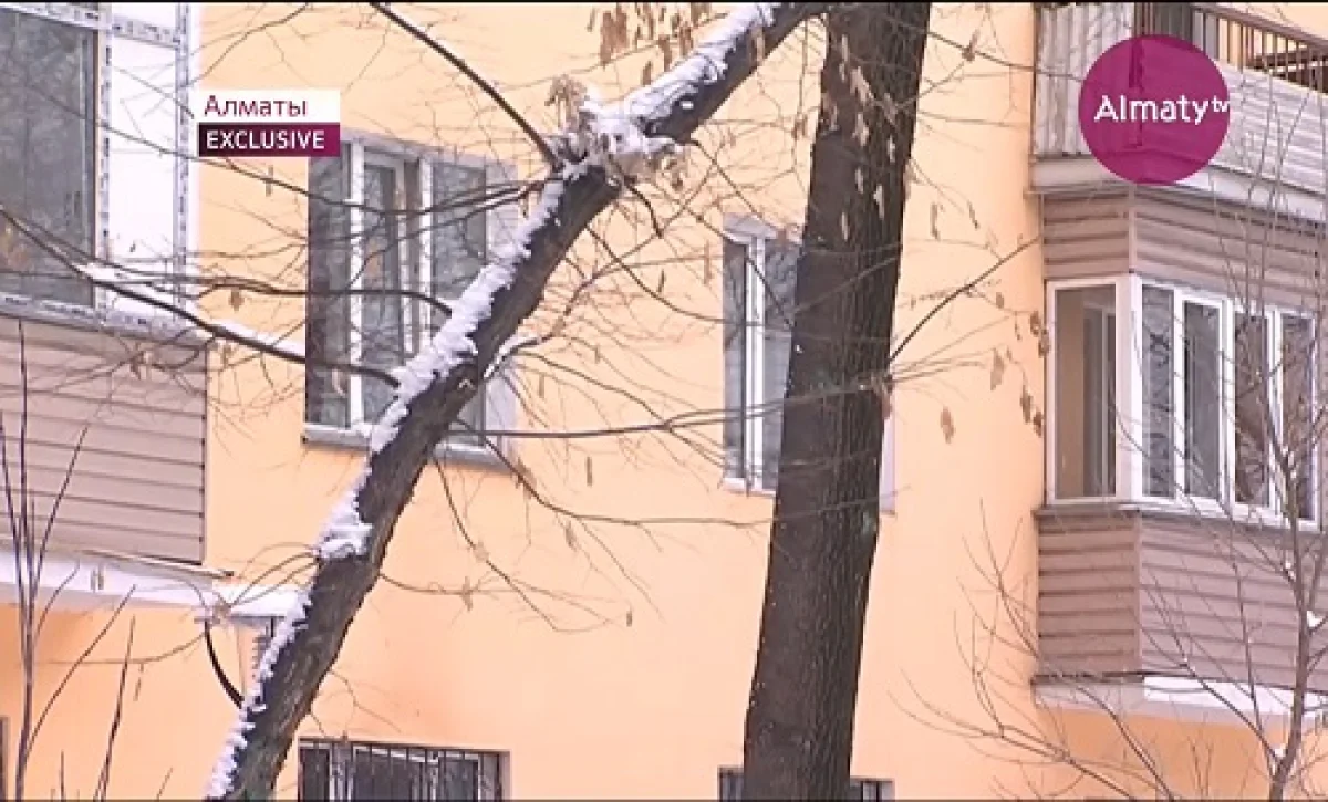 Черные риэлторы предстали перед судом в Алматы 