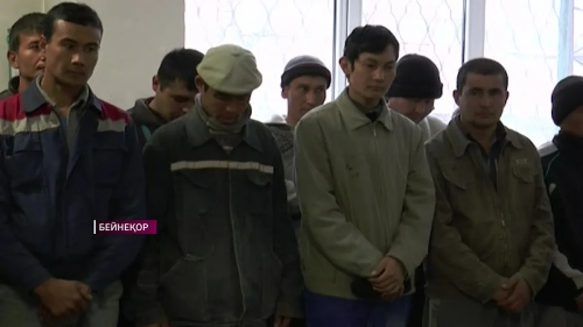 Ауғанстанның 49 азаматы елімізде оралман мәртебесін алуға талпынған