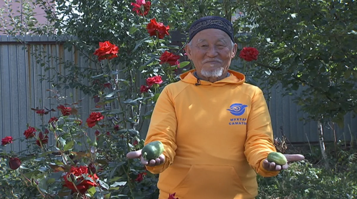 83-летний житель Алматинской области решил стать интернет-маркетологом