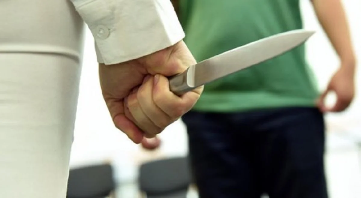 Павлодар облысында жүкті әйел күйеуін пышақтаған