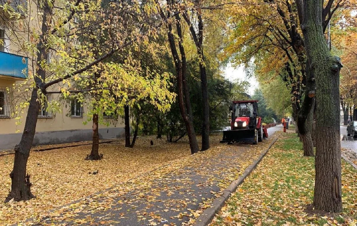 Алматыда көшені қардан тазартуға 1073 жұмысшы шықты