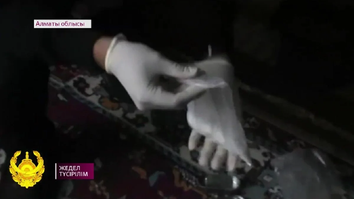 Almaty.tv