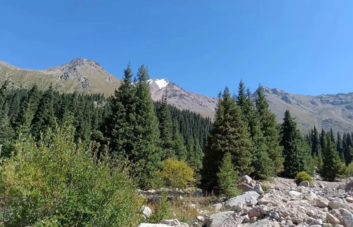 Almaty.tv