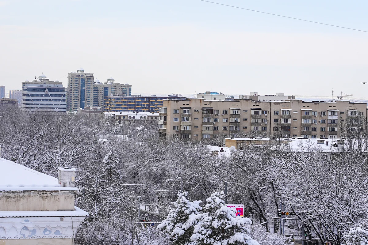 Almaty.tv