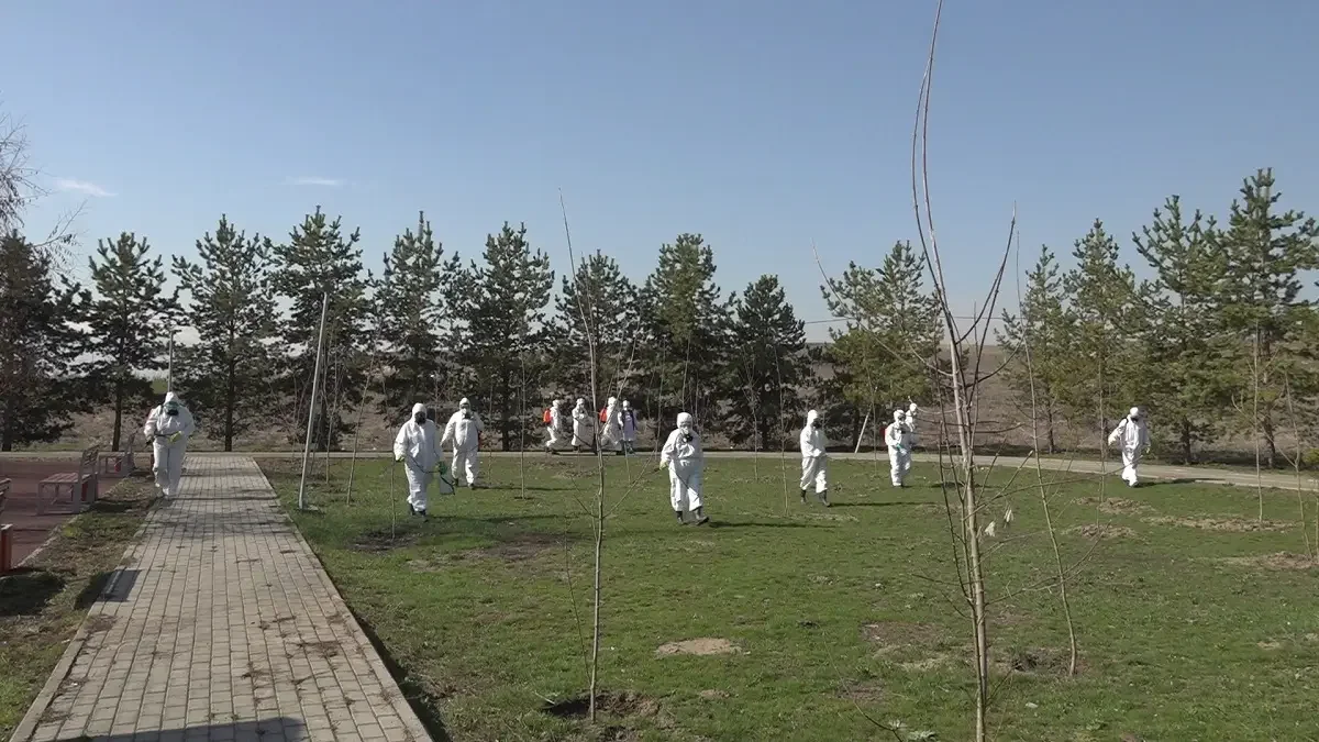 Almaty.tv