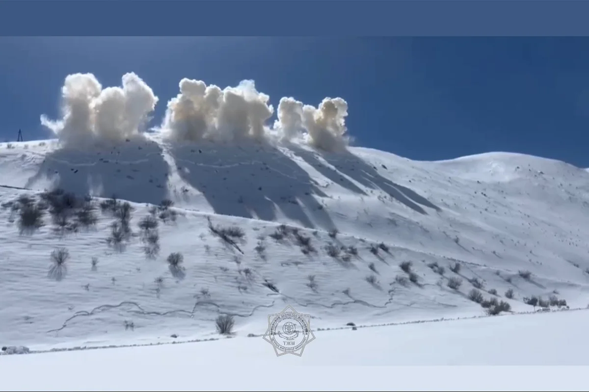 Кадр из видео МЧС РК