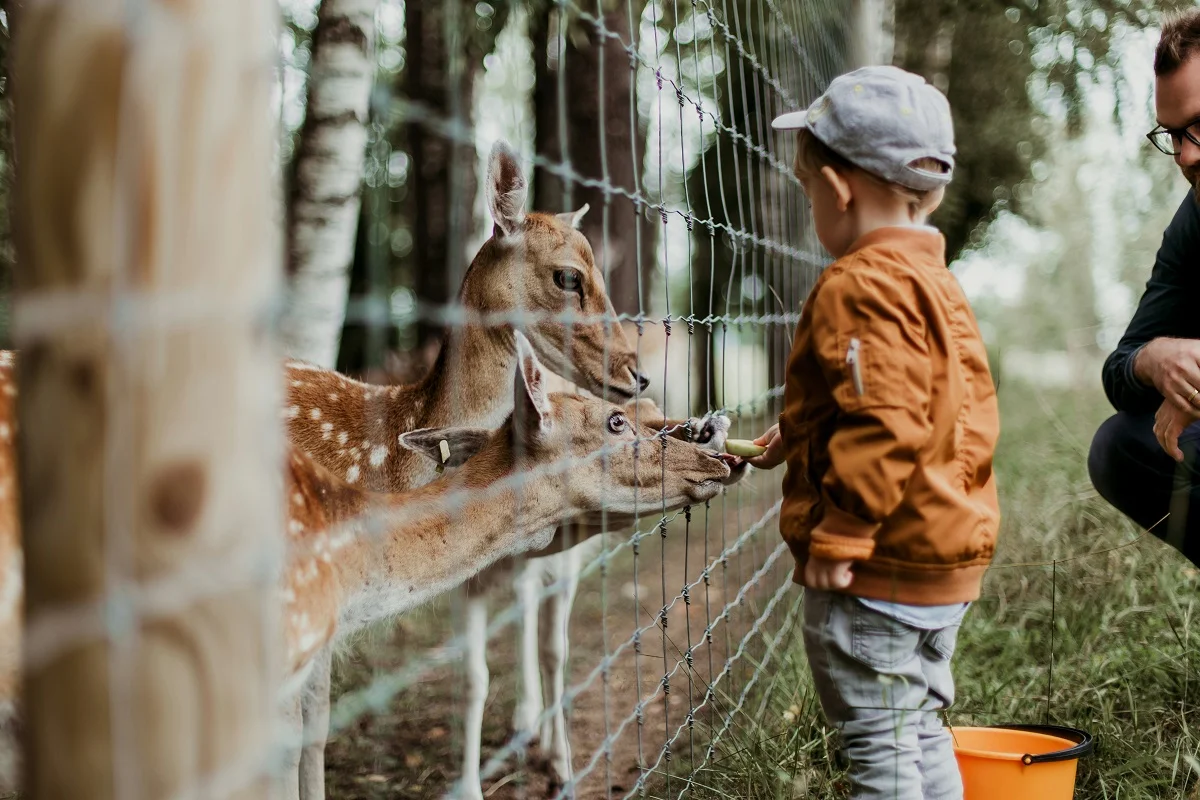 Daiga Ellaby/unsplash.com/