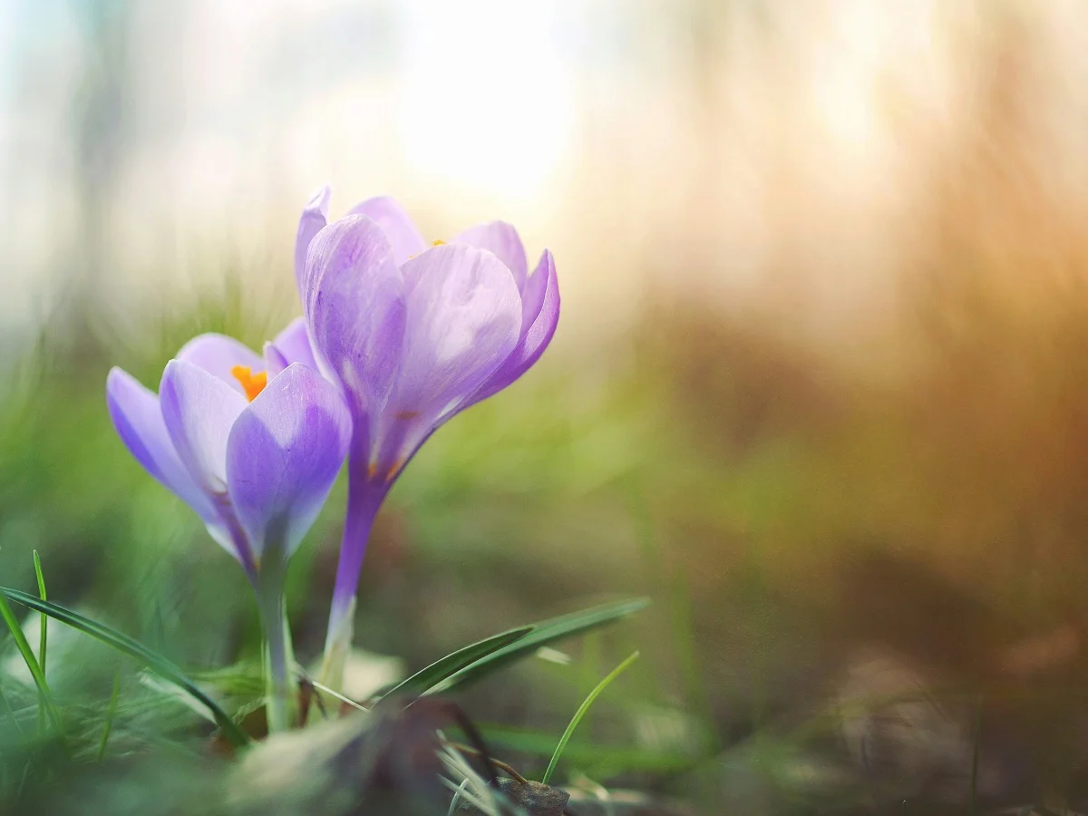 Photo by Aaron Burden on Unsplash