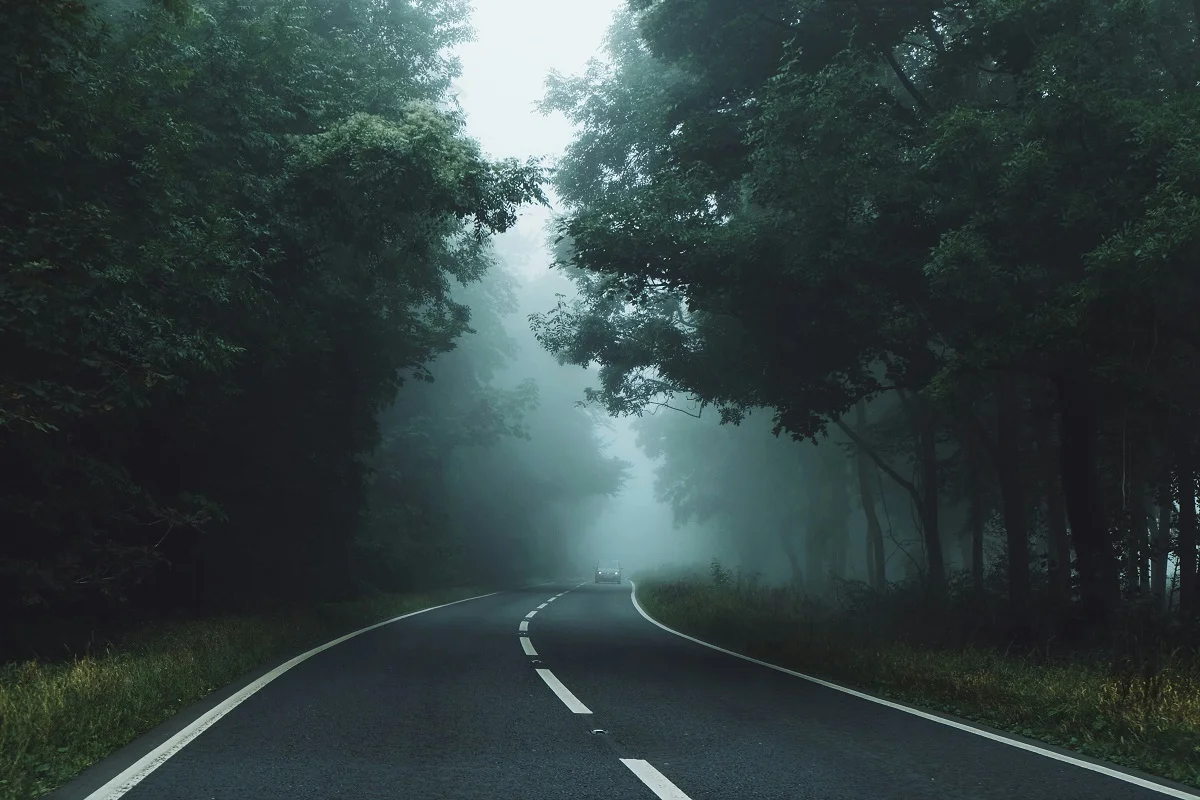 Photo by Danis Lou on Unsplash