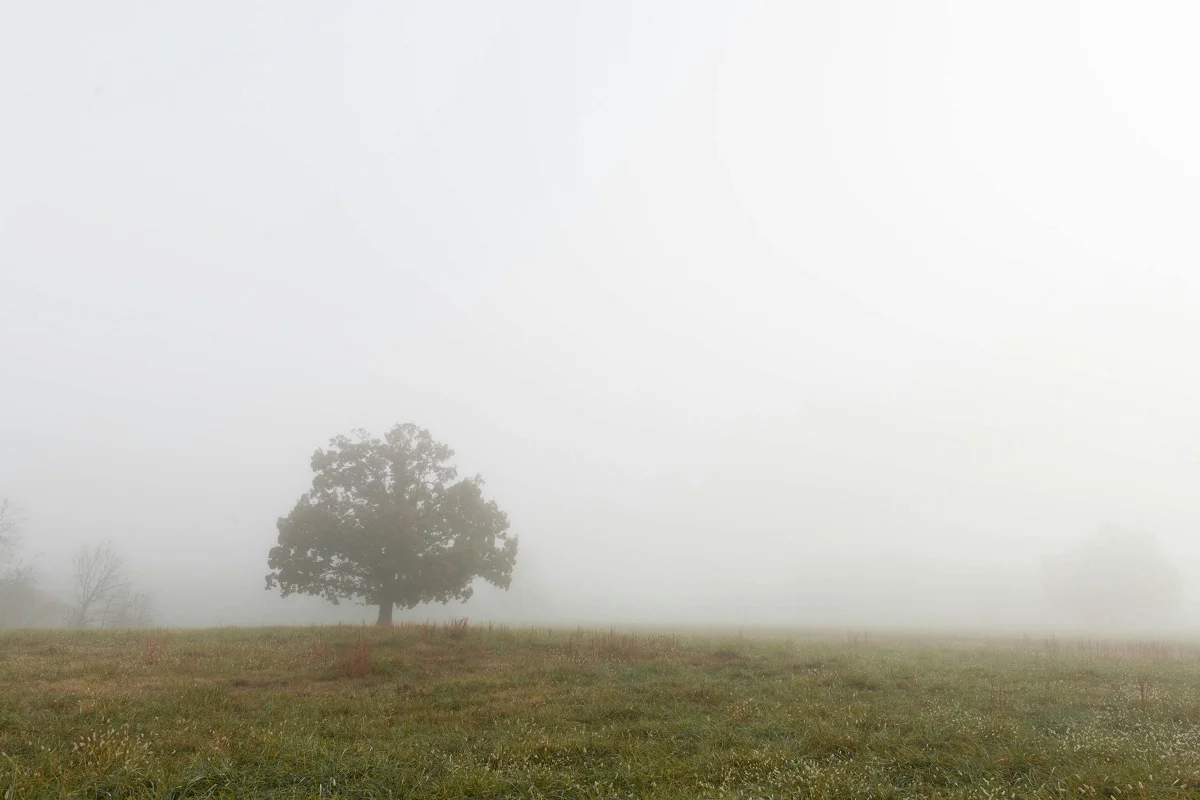 Alex Hockett/unsplash.com/