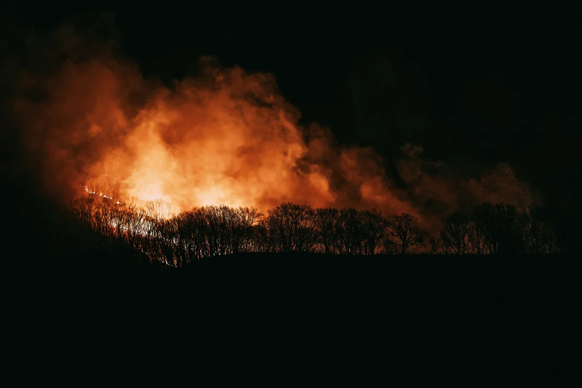 Олег Мороз/https://unsplash.com