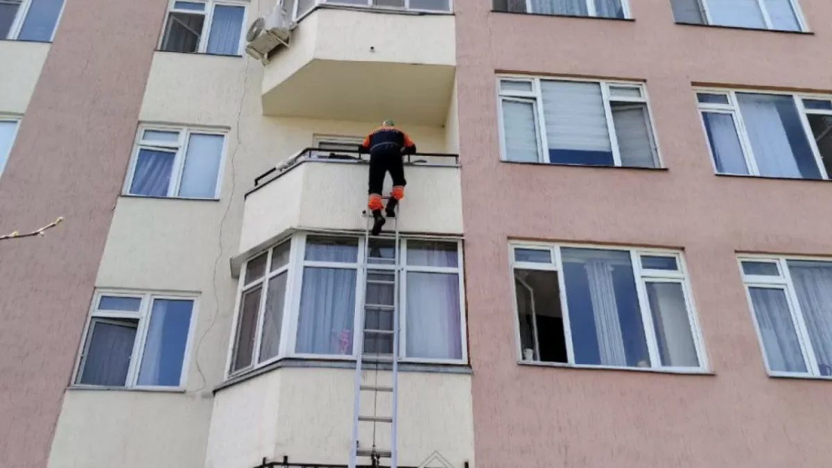 ТЖМ