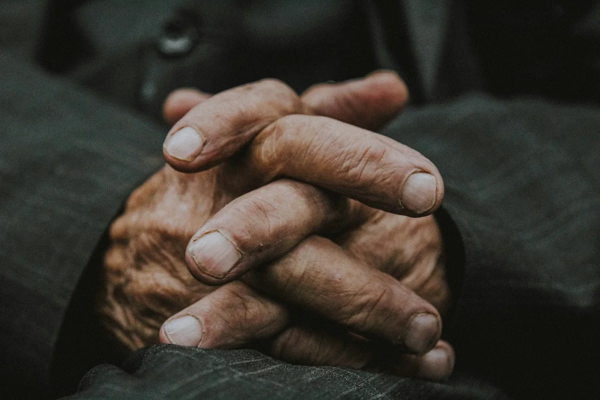 Photo by Zahra Amiri on Unsplash