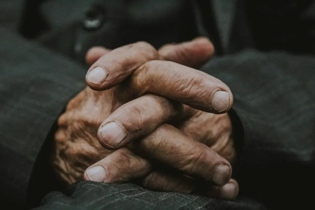 Photo by Zahra Amiri on Unsplash