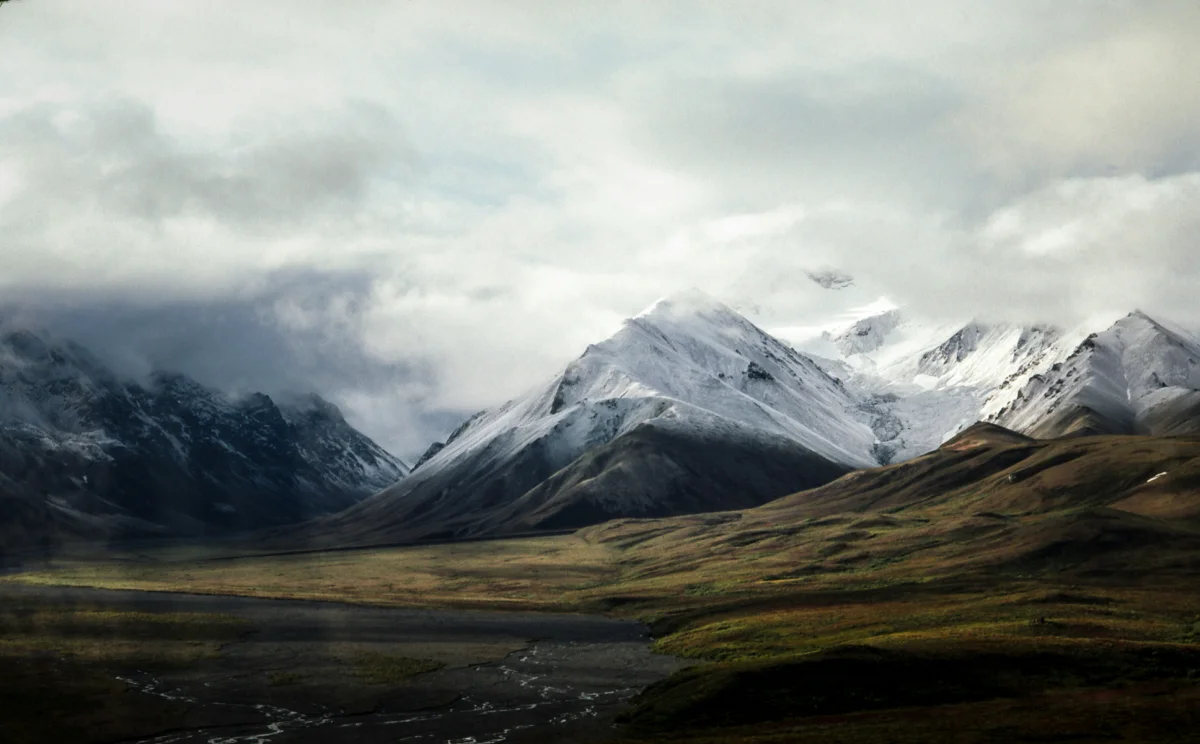 Nathan Anderson/unsplash.com/