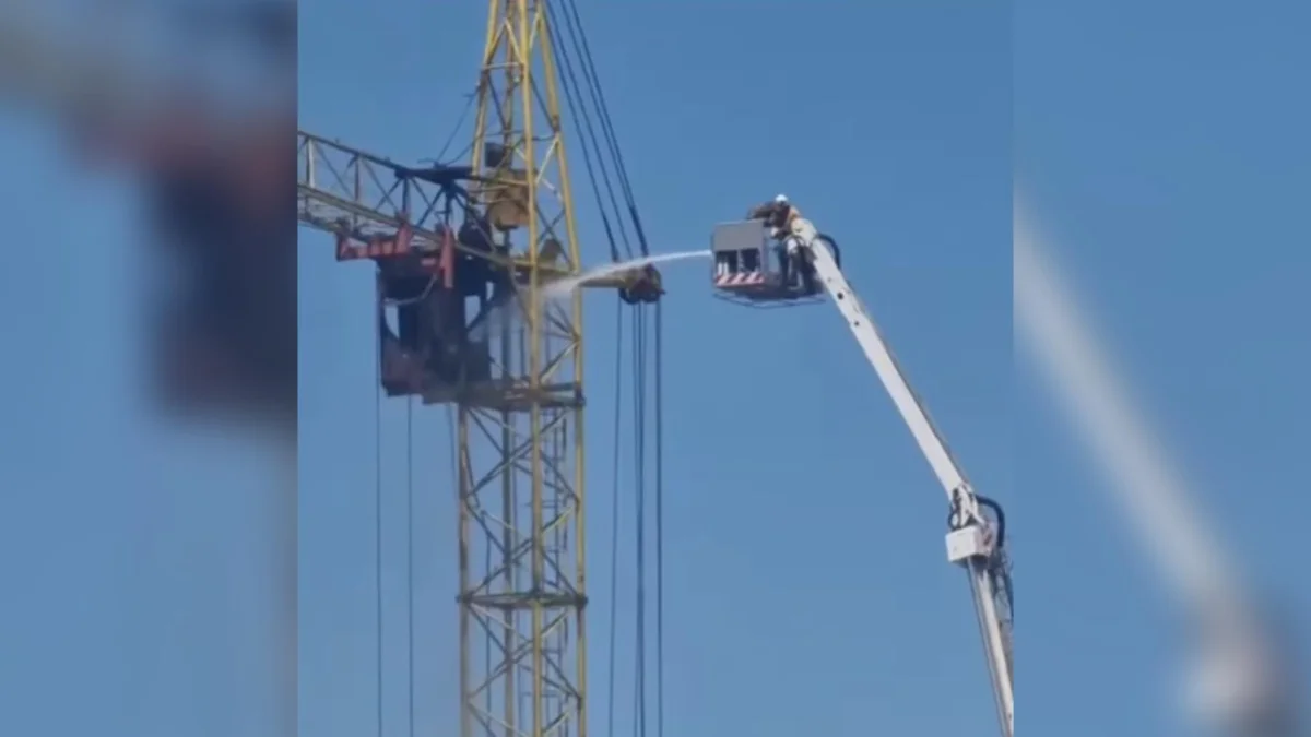 стоп кадр