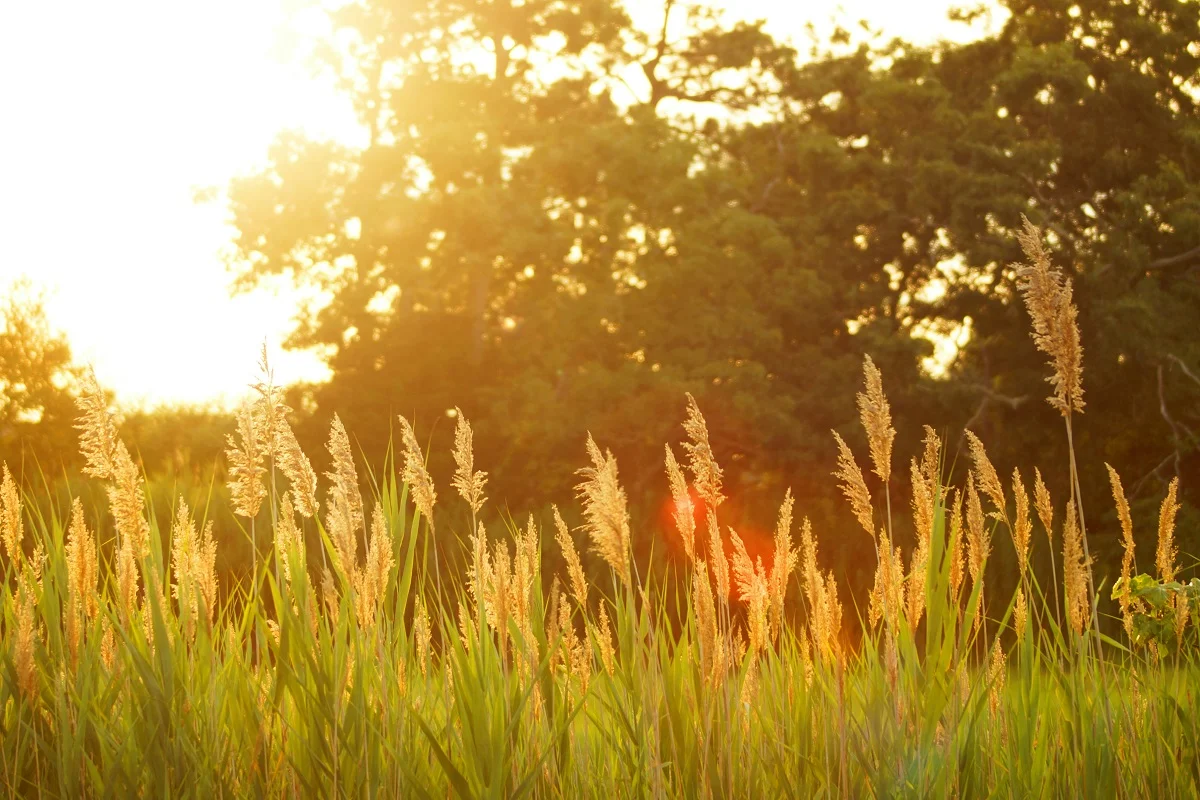 Photo by D R on Unsplash