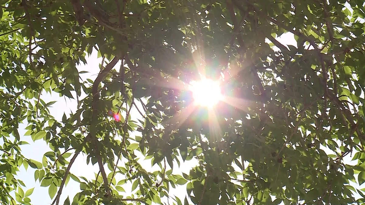 Almaty.tv