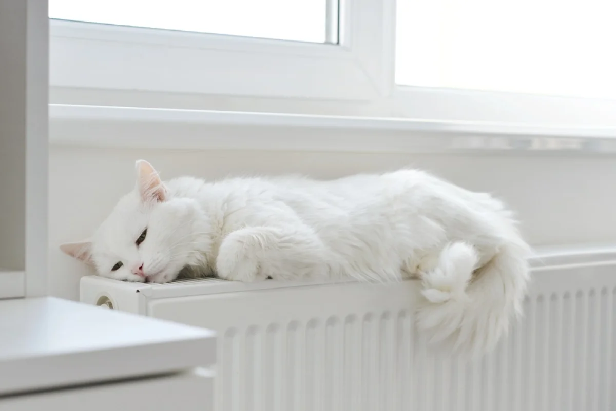 Depositphotos.com