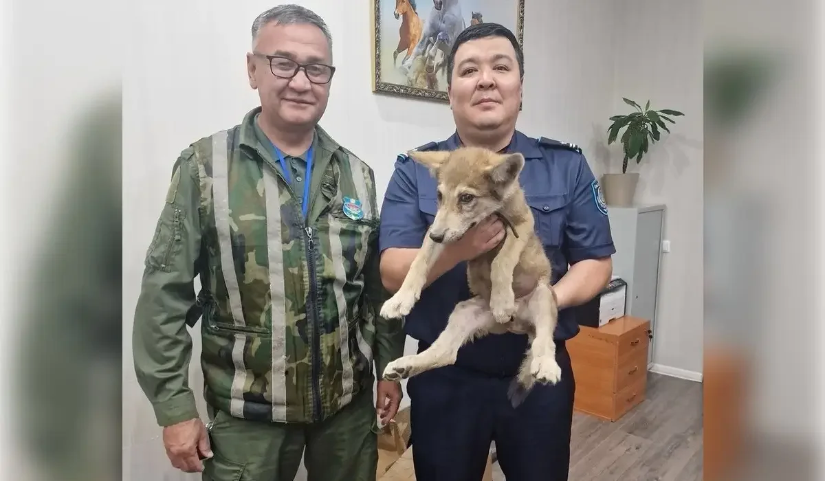 polisia.kz