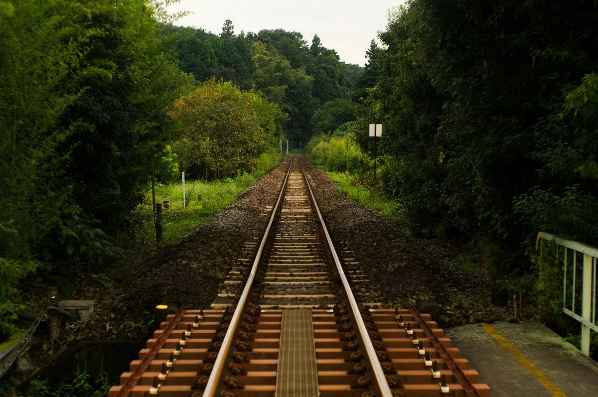 Photo by Hiroshi Tsubono on Unsplash