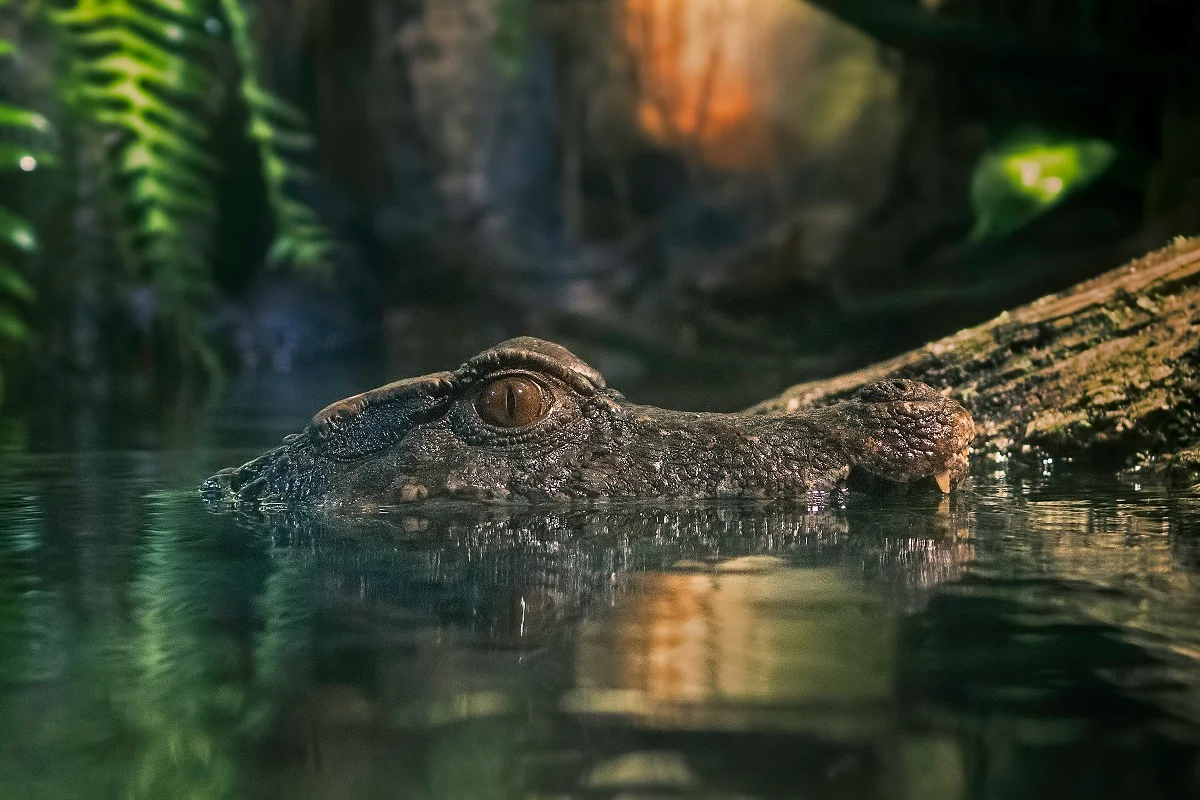 Photo by Robert Zunikoff on Unsplash