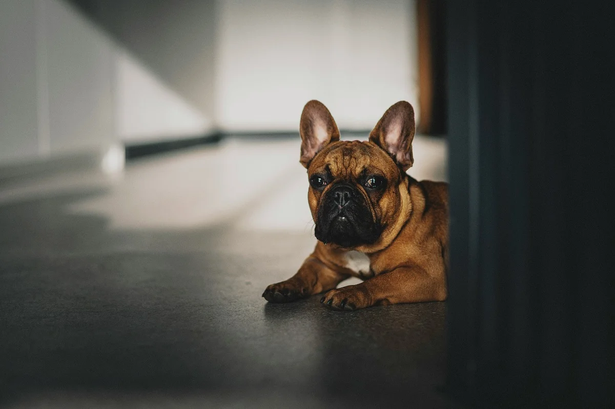 Photo by Egor Myznik on Unsplash