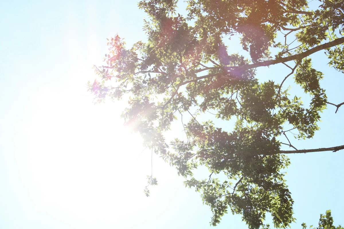 Photo by Catherine Carrillo on Unsplash
