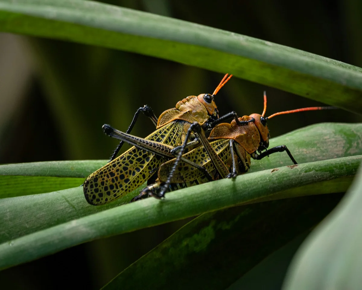 Photo by Abhi Verma on Unsplash