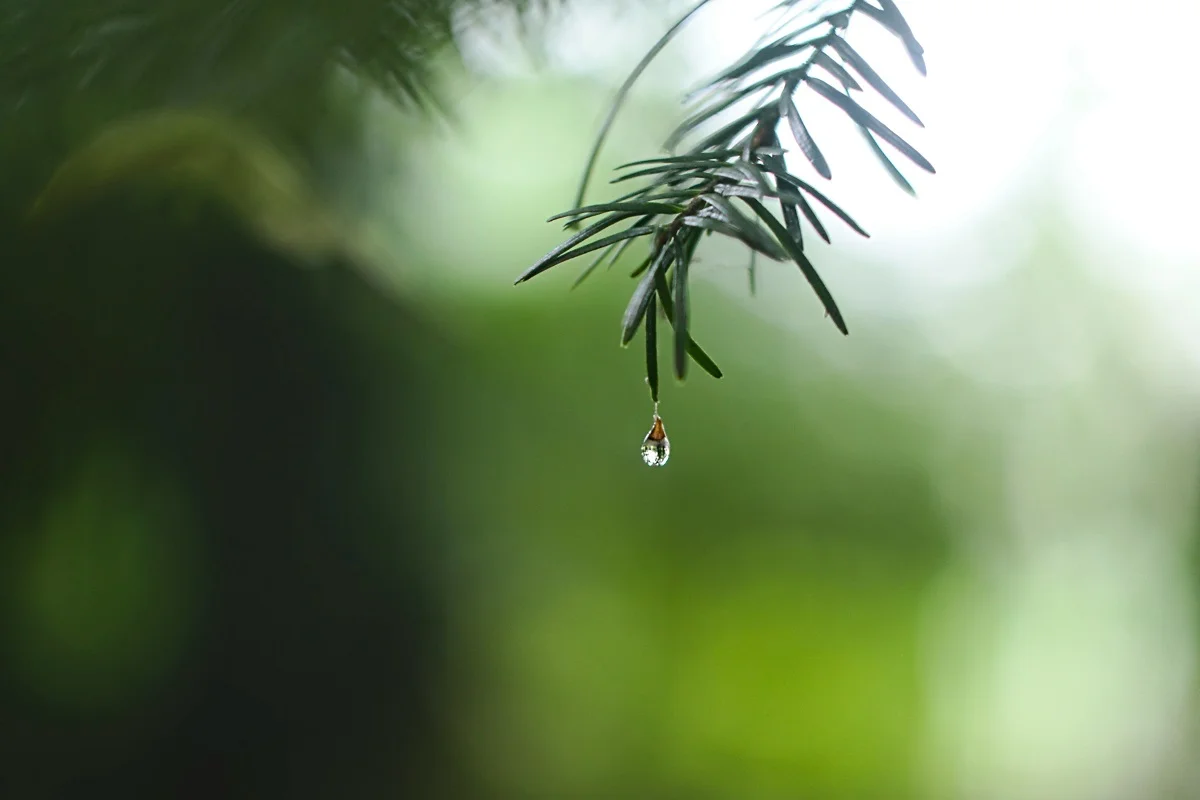 Photo by Ed Leszczynskl on Unsplash