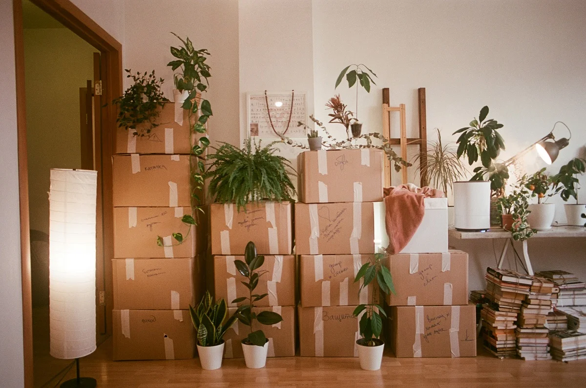 Photo by Dina Badamshina on Unsplash