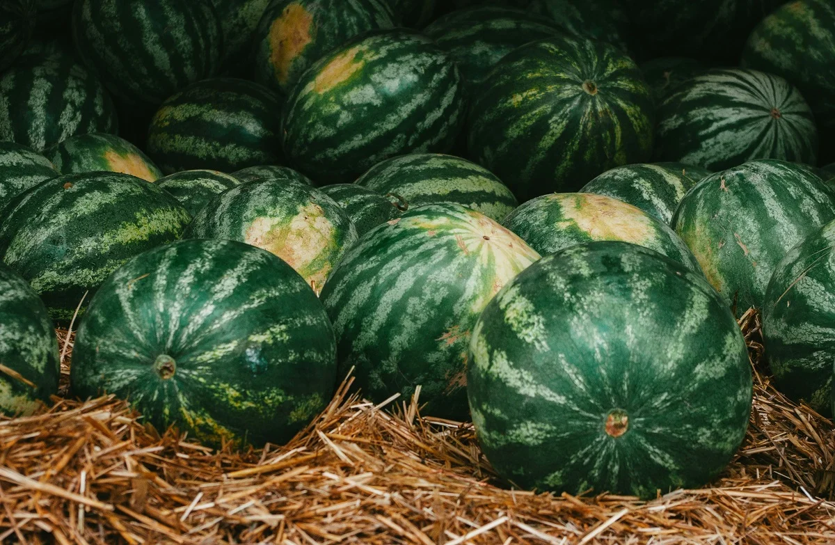 Photo by Summer Rune on Unsplash