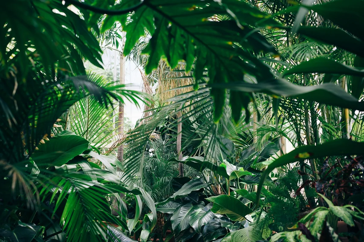 Photo by Chris Abney on Unsplash