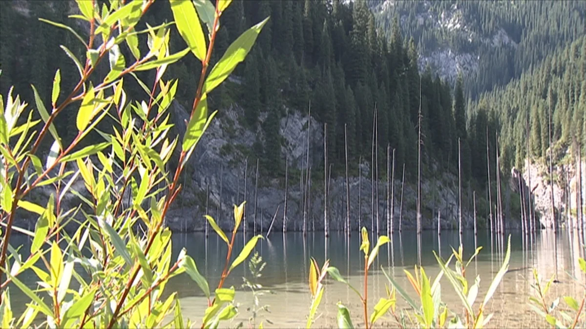 Almaty.tv