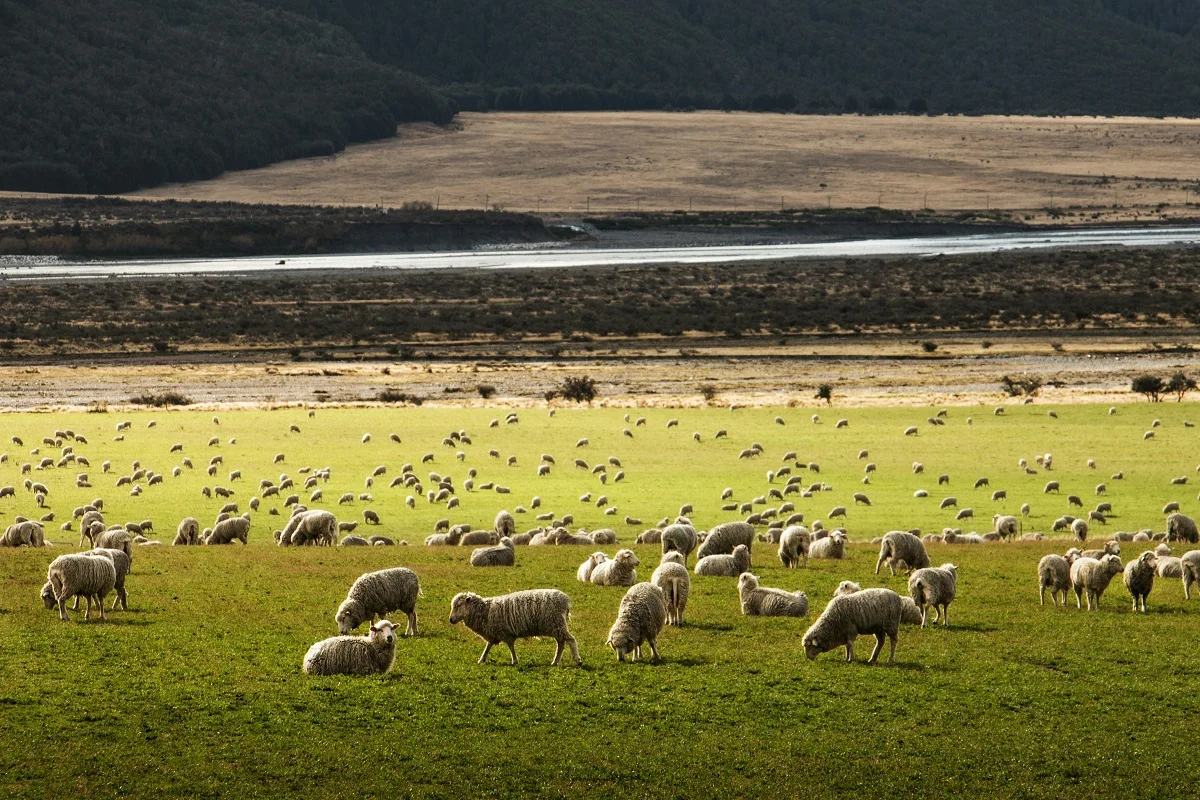 Martin Bisof/unsplash.com/