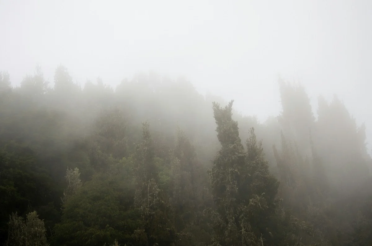 Pedro Romero/ unsplash.com/