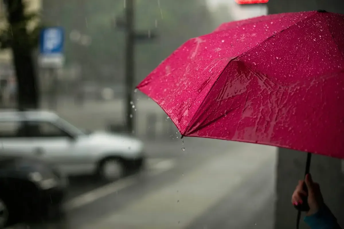 Depositphotos.com