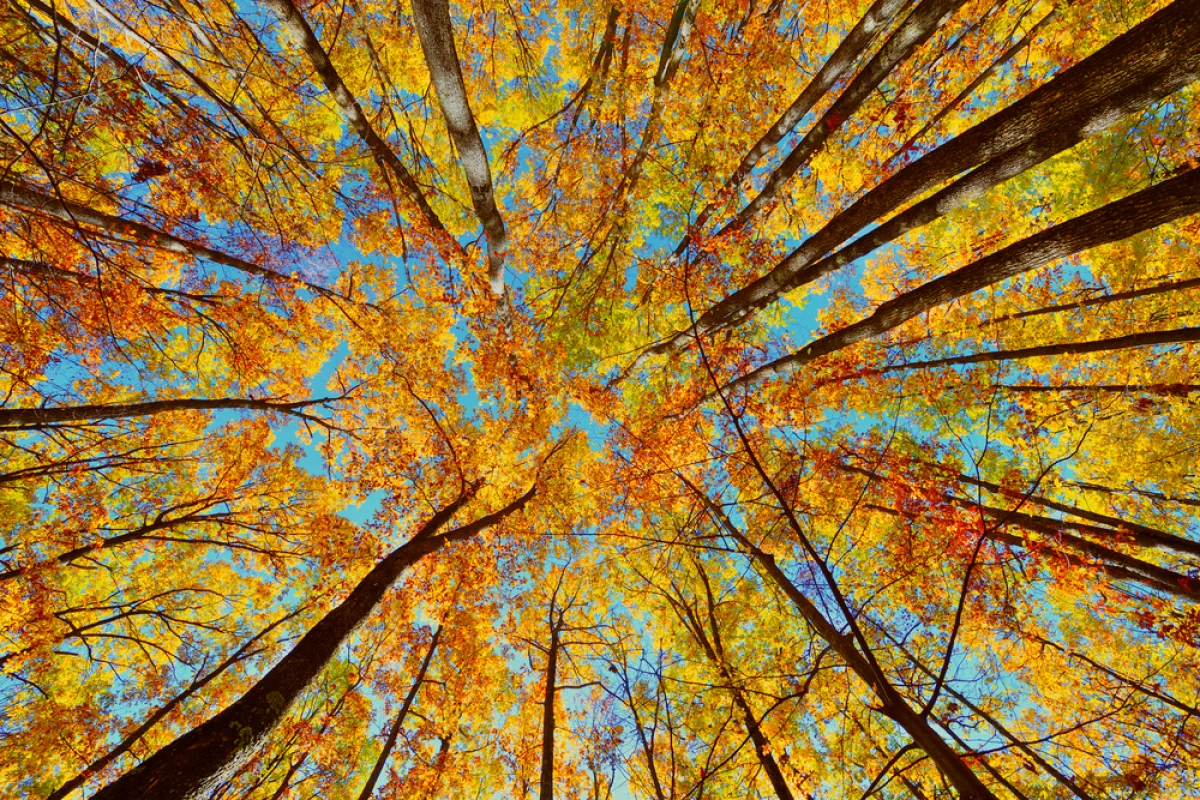 Depositphotos