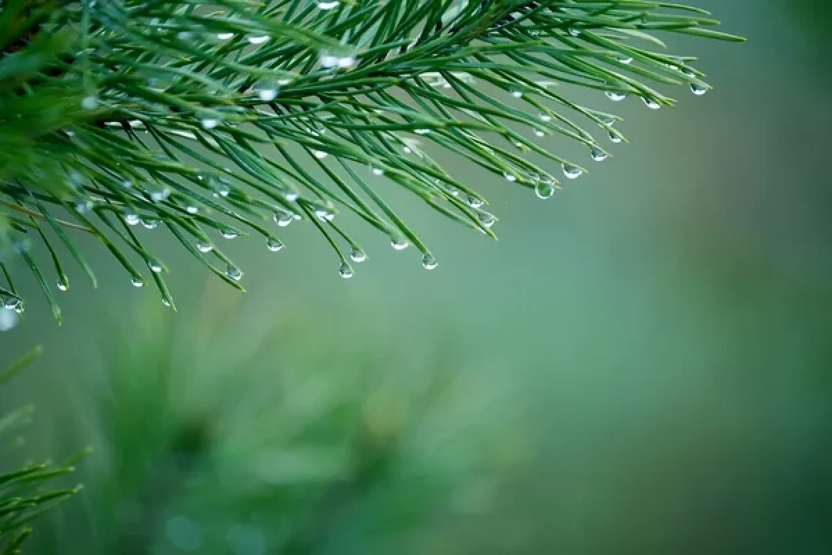 Depositphotos
