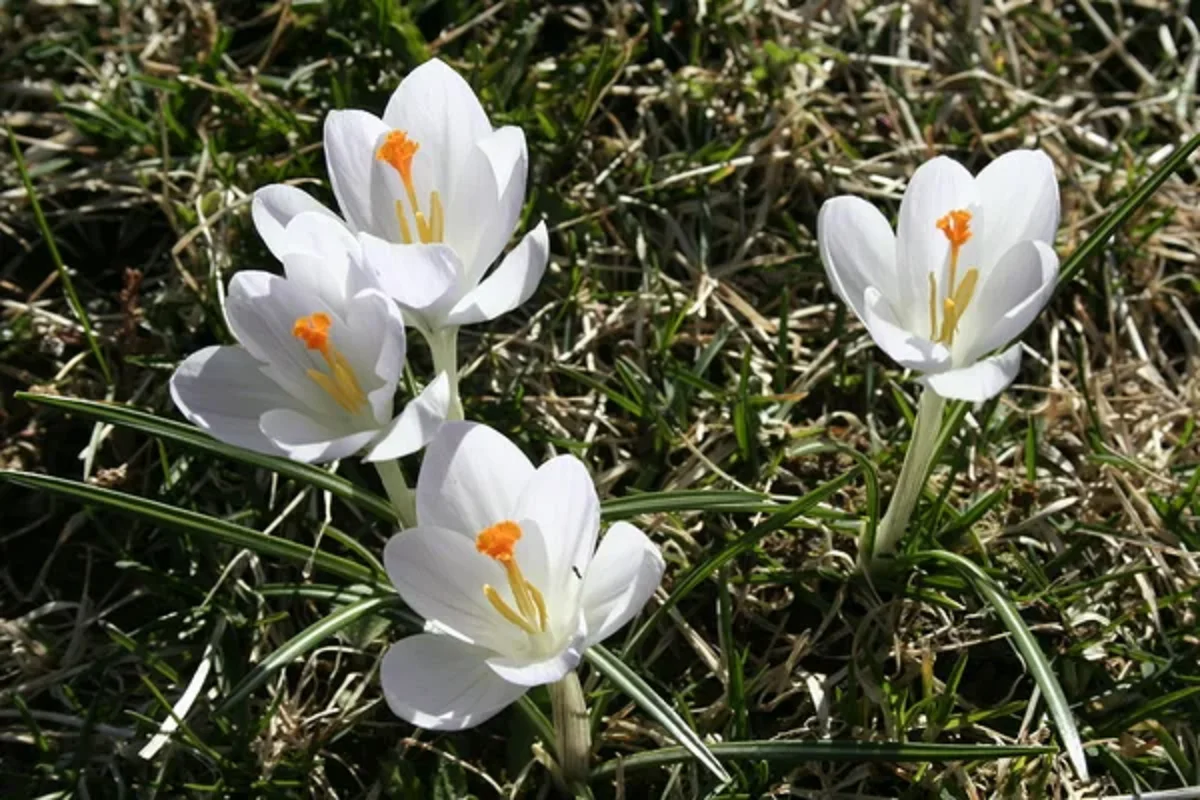 Depositphotos.com