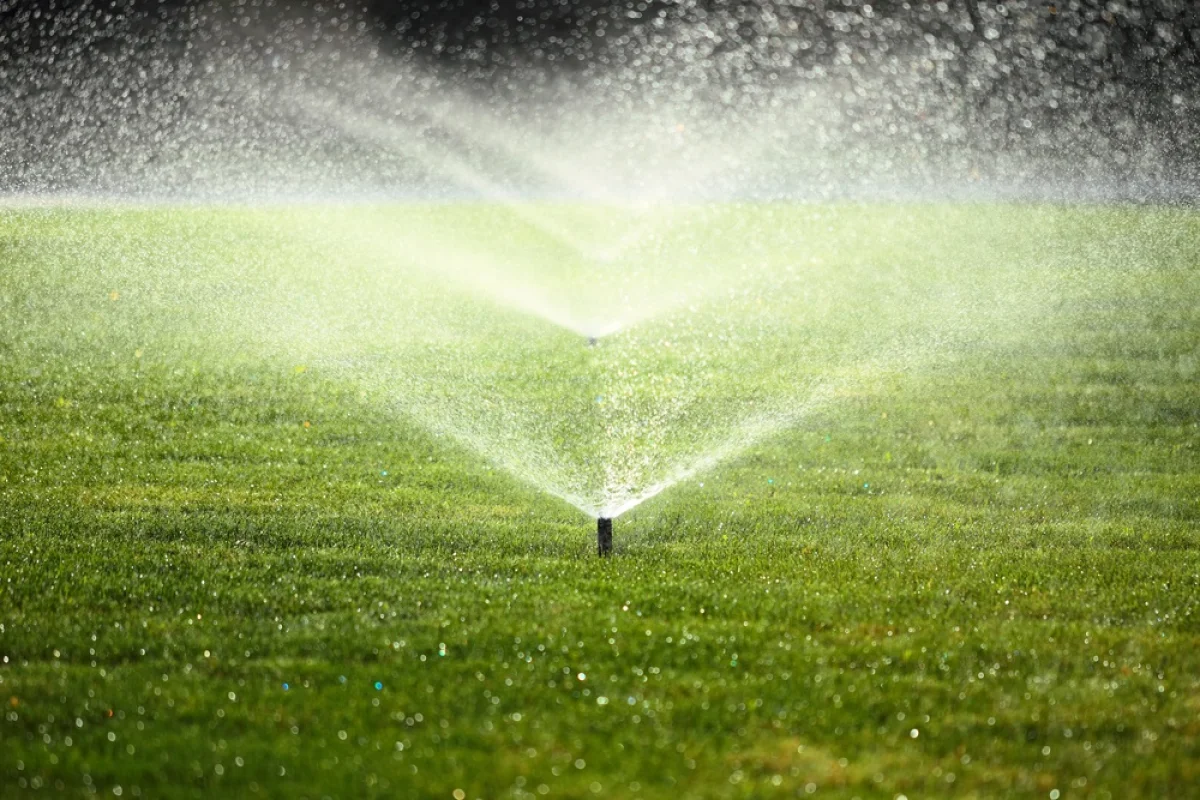 Depositphotos.com