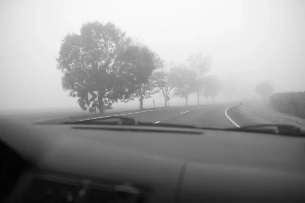 Depositphotos