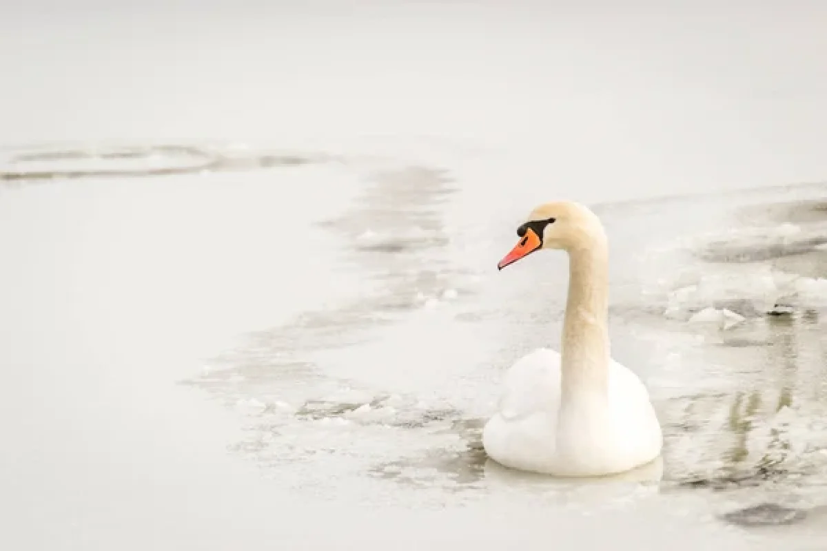 Depositphotos.com