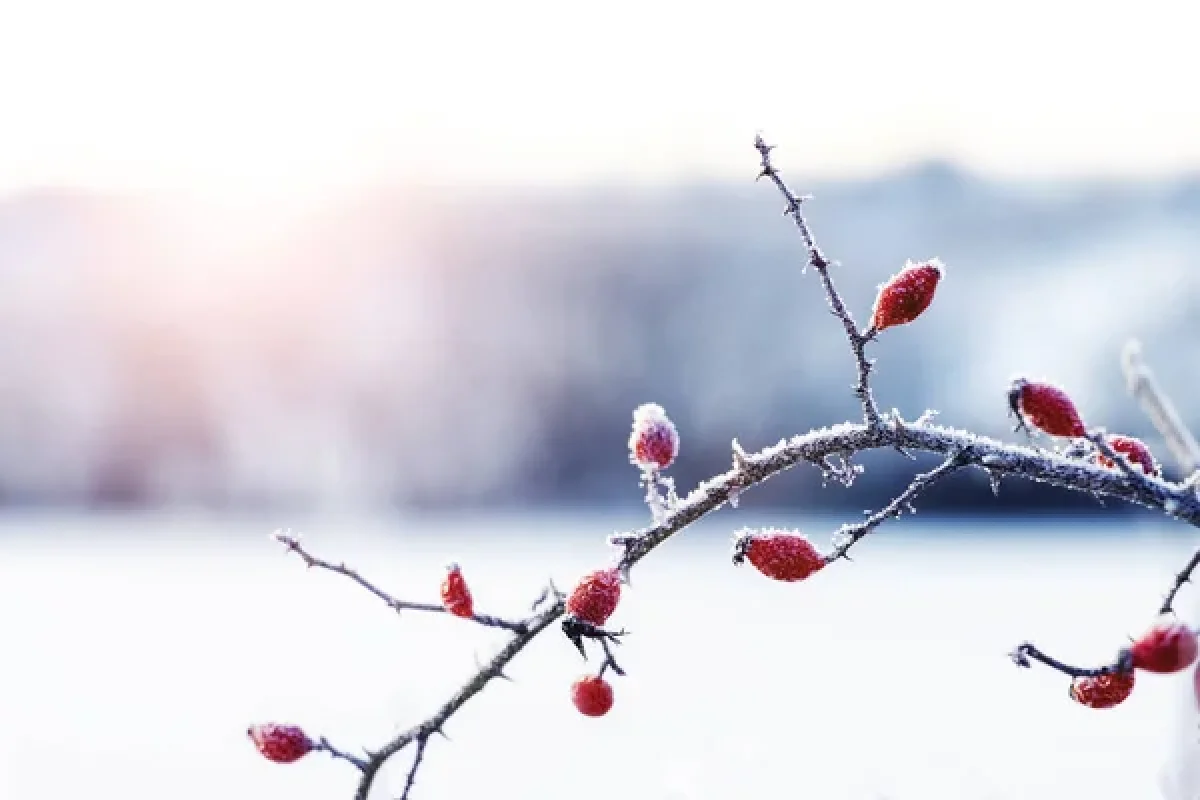 Depositphotos