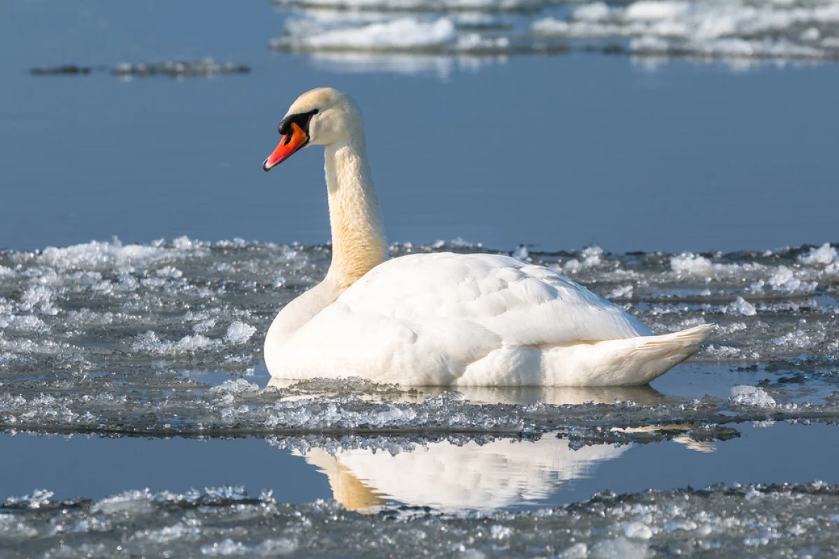 Depositphotos