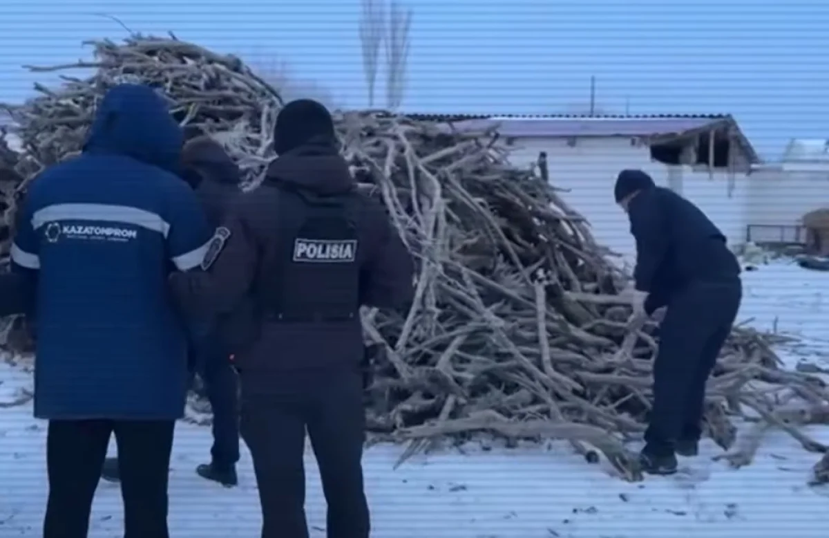 Polisia.kz