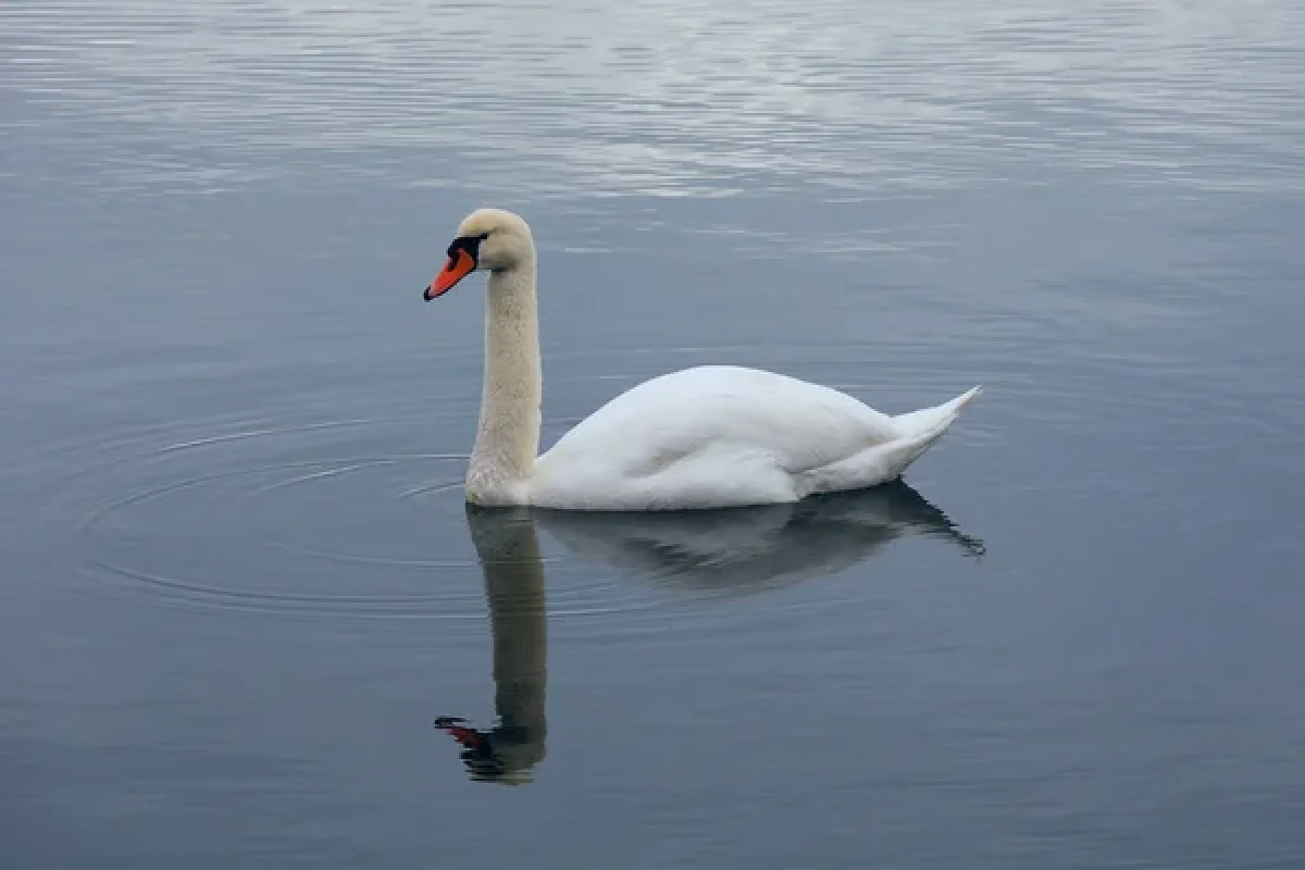 Depositphotos.com