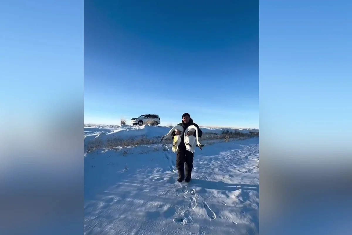 Кадр из видео Almaty.tv