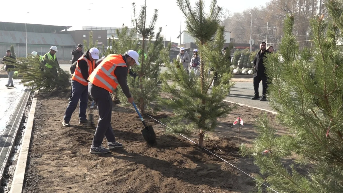 Almaty.tv